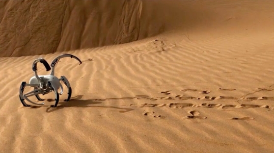 勘察機器人 勘察機器人