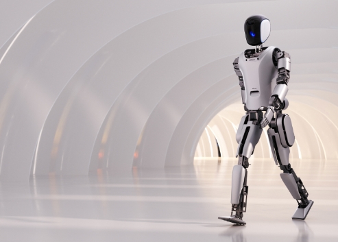 人形機器人 人形機器人