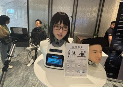 仿生面部 仿生面部